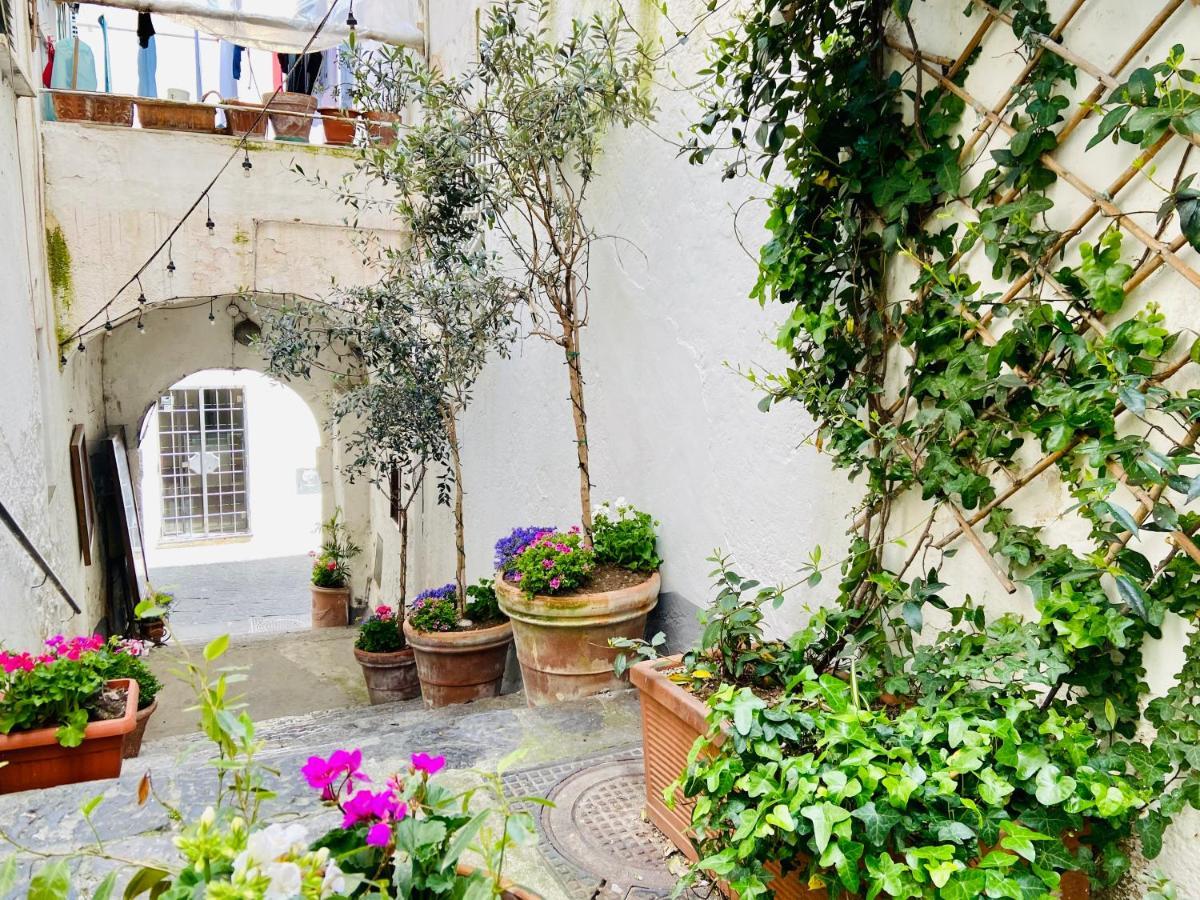 Casa Viggiano In The Heart Of Amalfi公寓 外观 照片